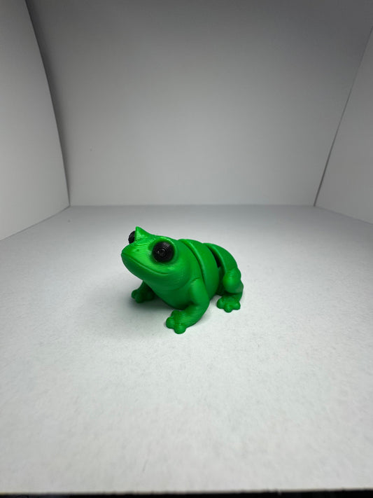 Frog Fidget Toy