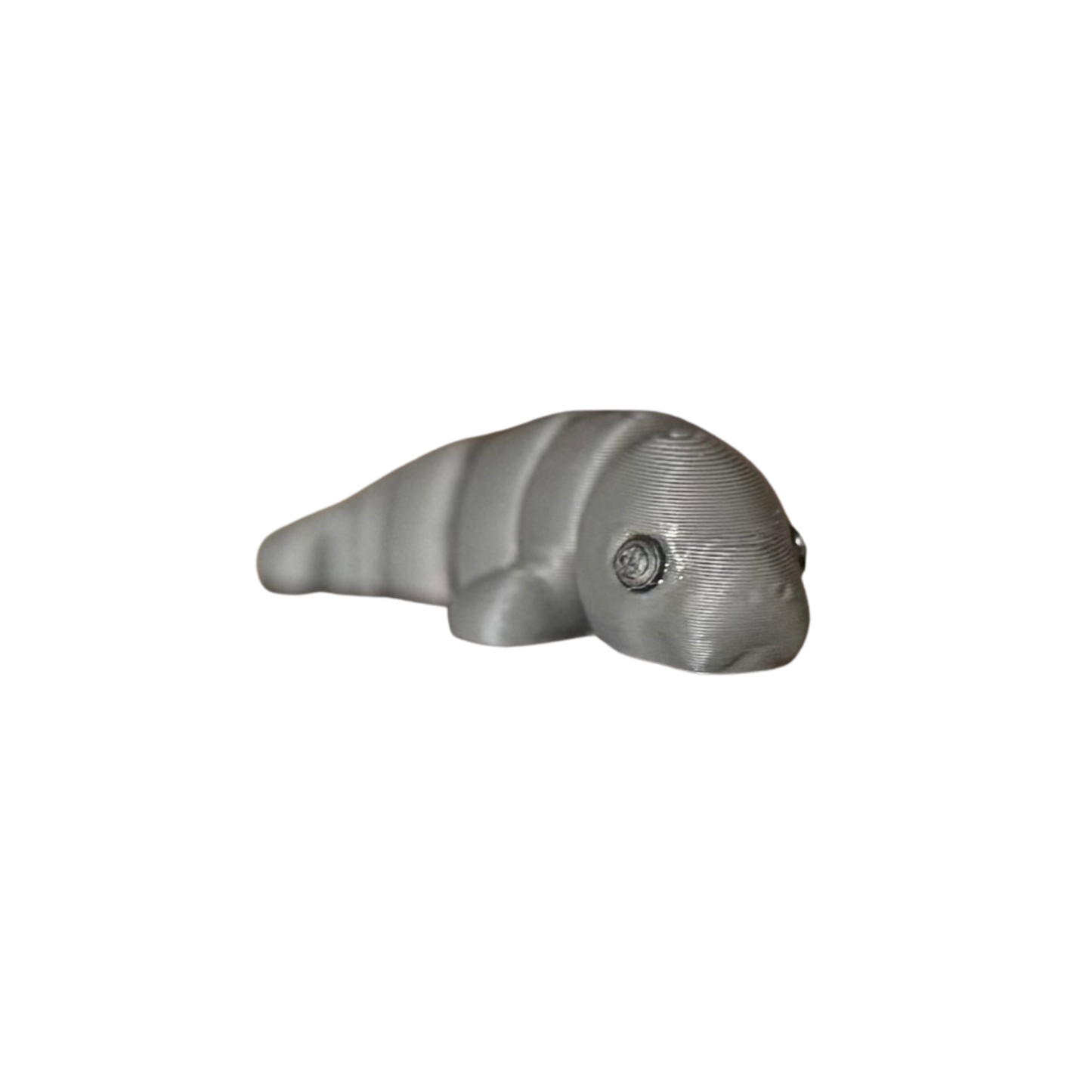 Manatee Fidget Toy