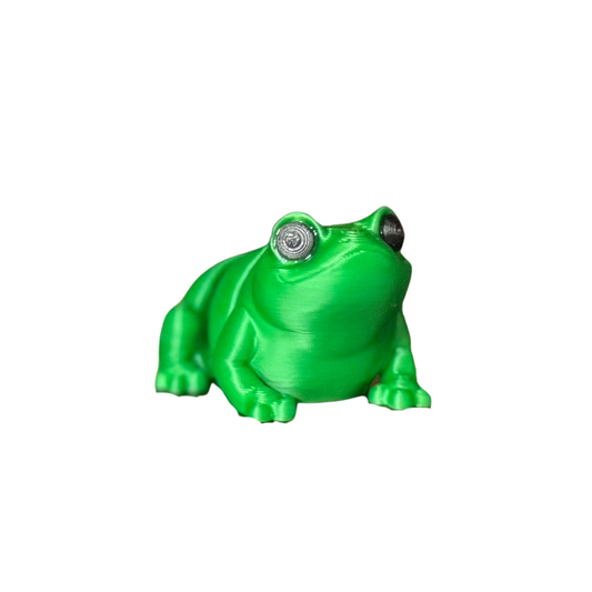 Frog Fidget Toy