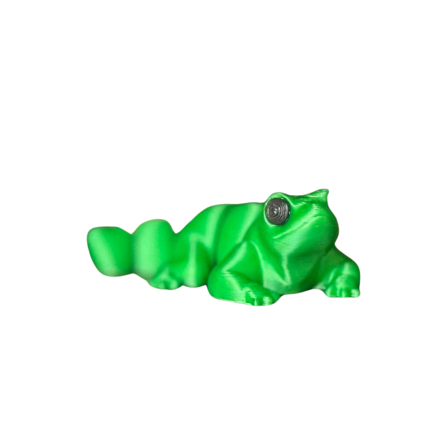 Lizard Fidget Toy