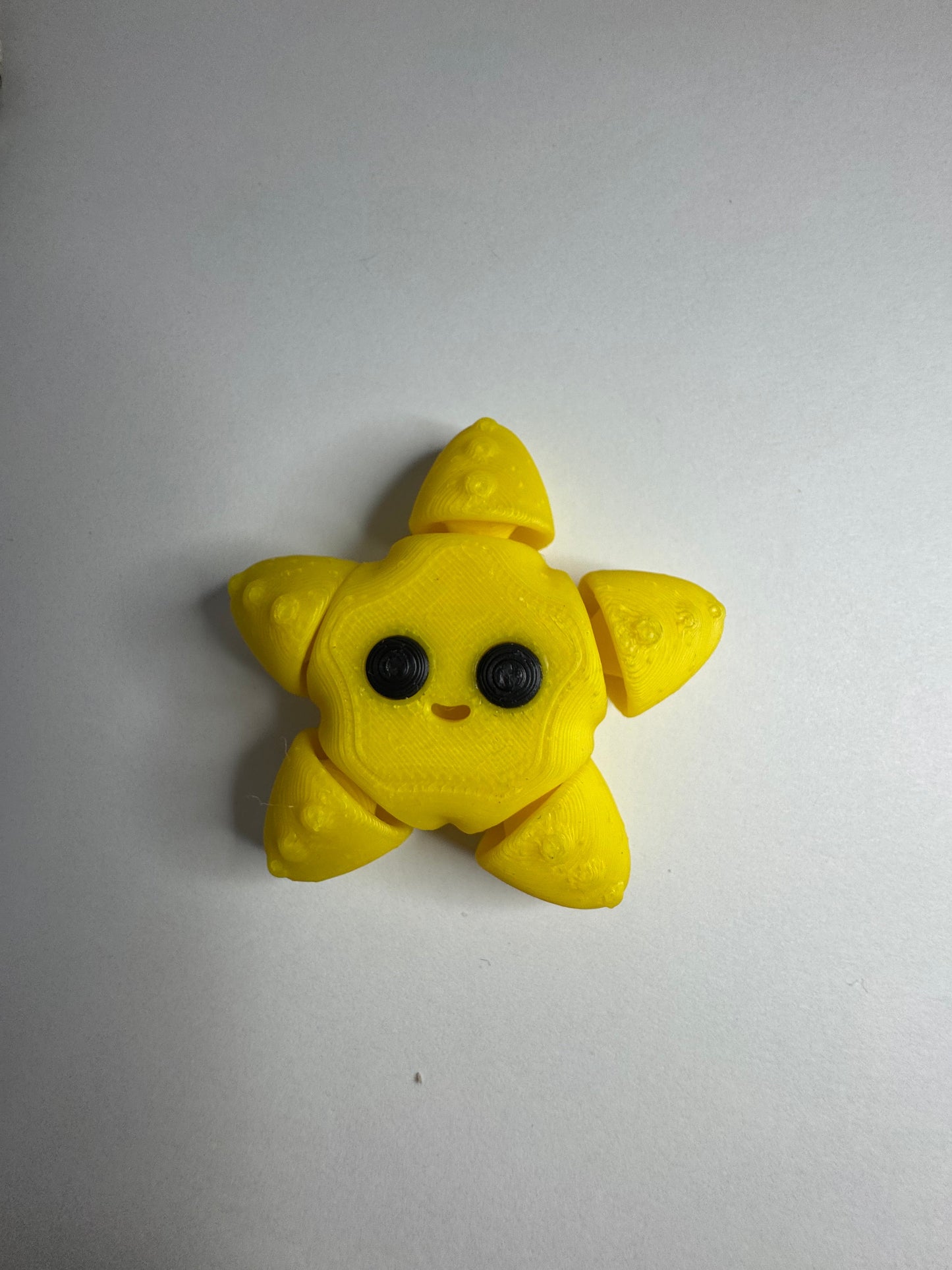 Starfish Fidget Toy