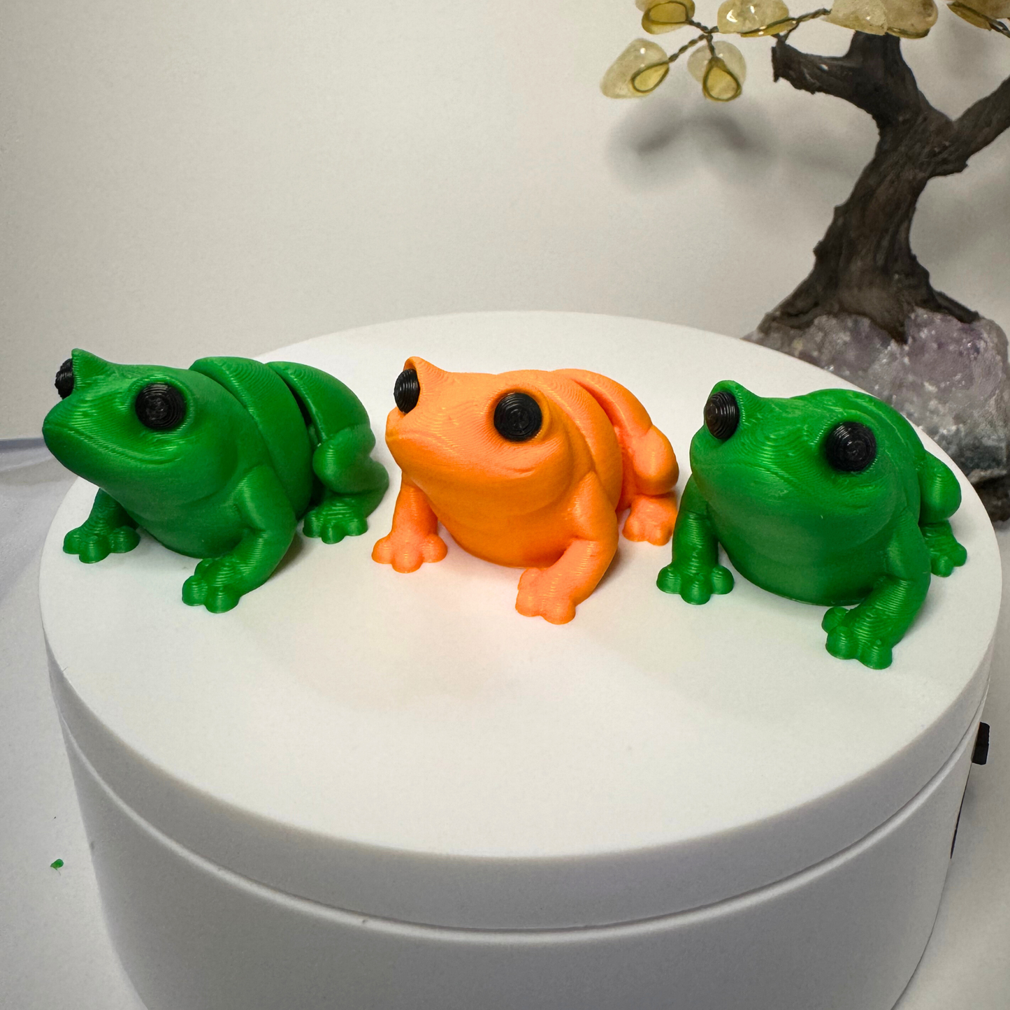Frog Fidget Toy