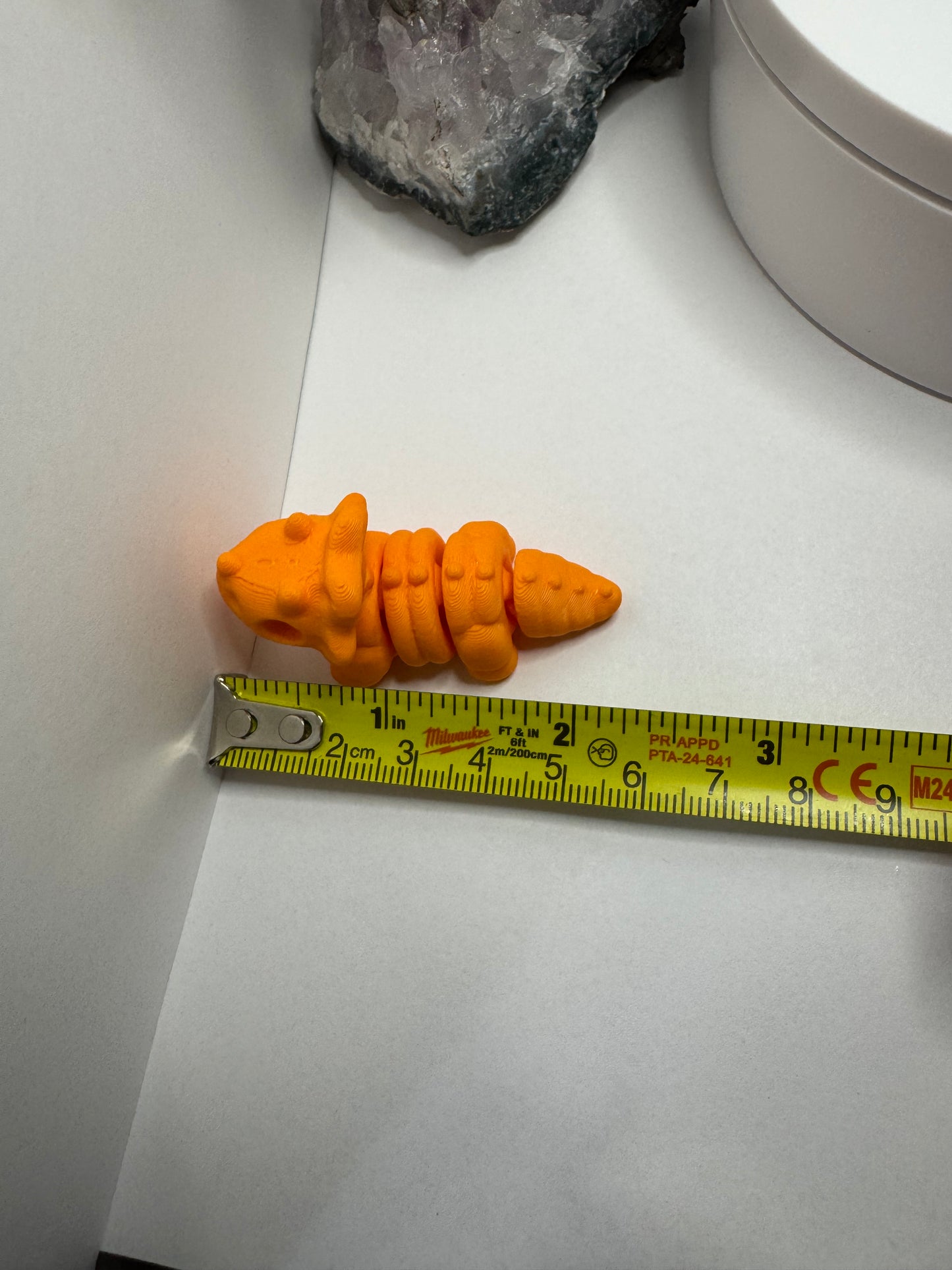 Triceratops Skeleton Fidget