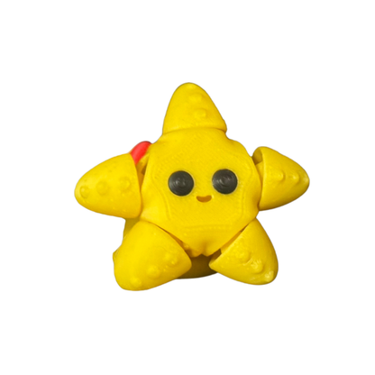 Starfish Fidget Toy