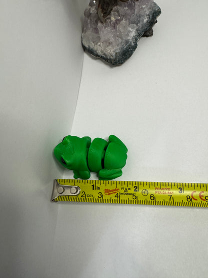 Frog Fidget Toy