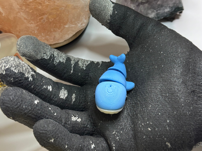 Whale Fidget Toy