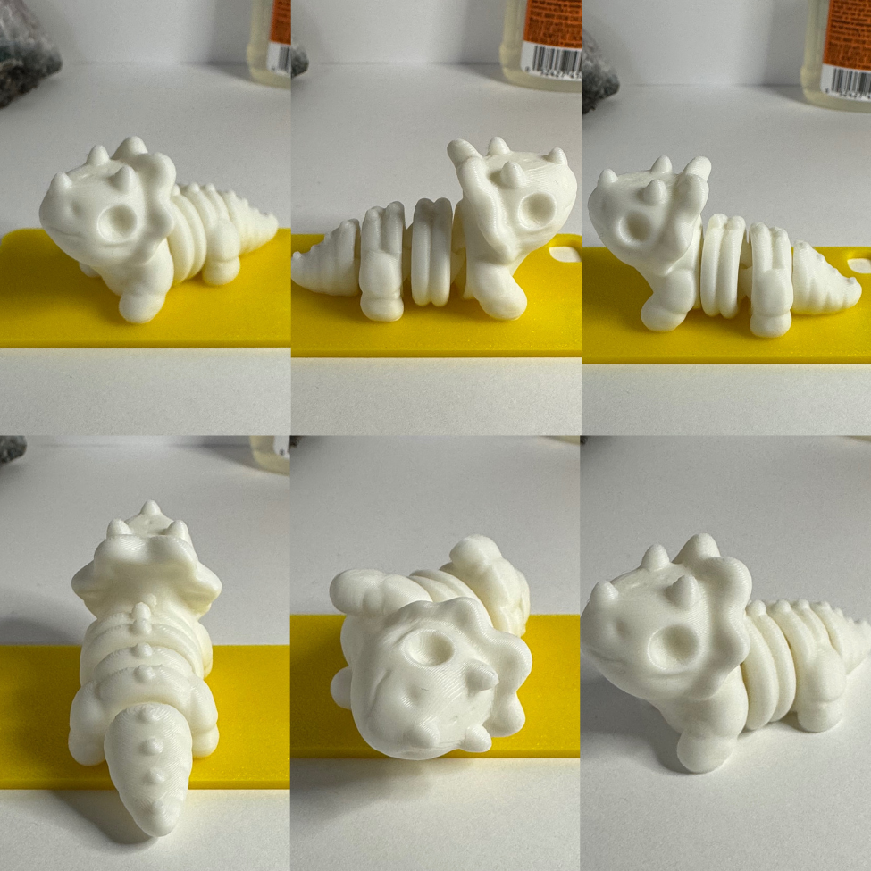 Triceratops Skeleton Fidget